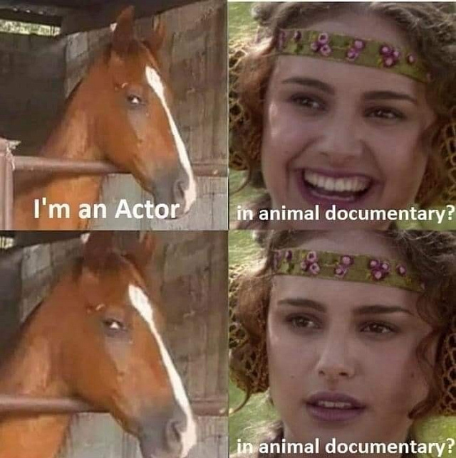 _