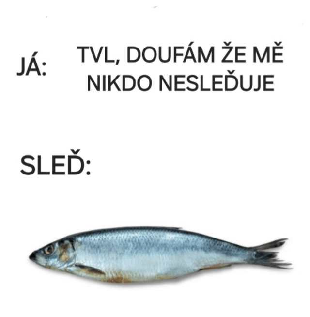 _