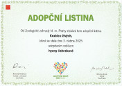 Adopční listina