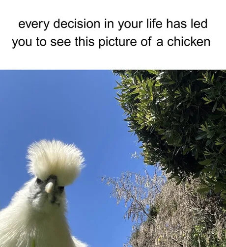 _