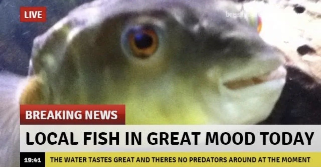 _