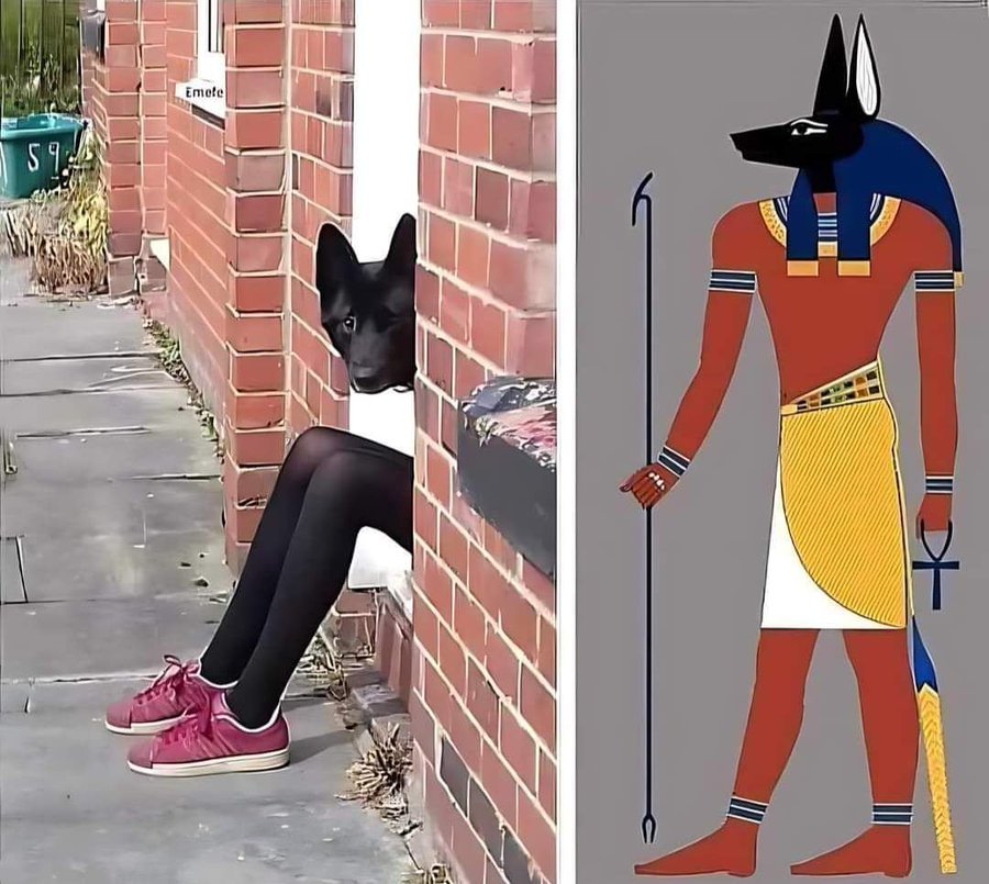 _