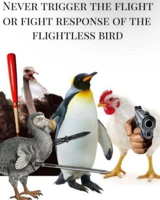 _