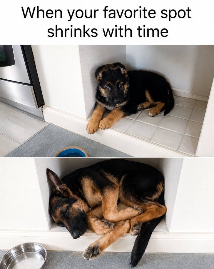 _