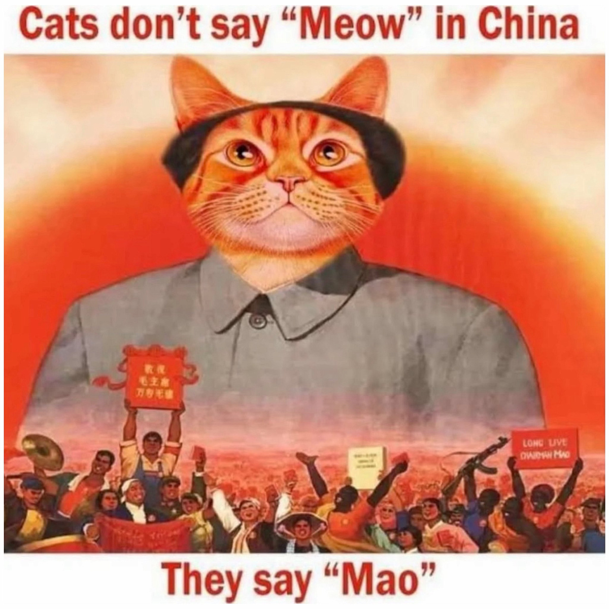 _