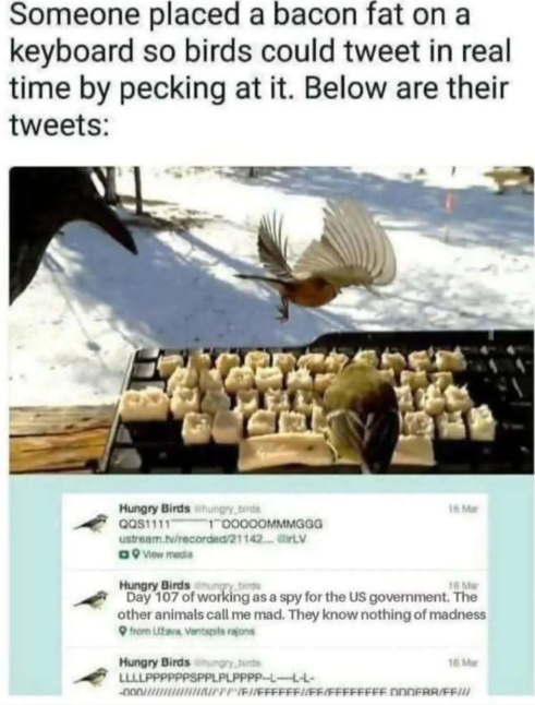 _