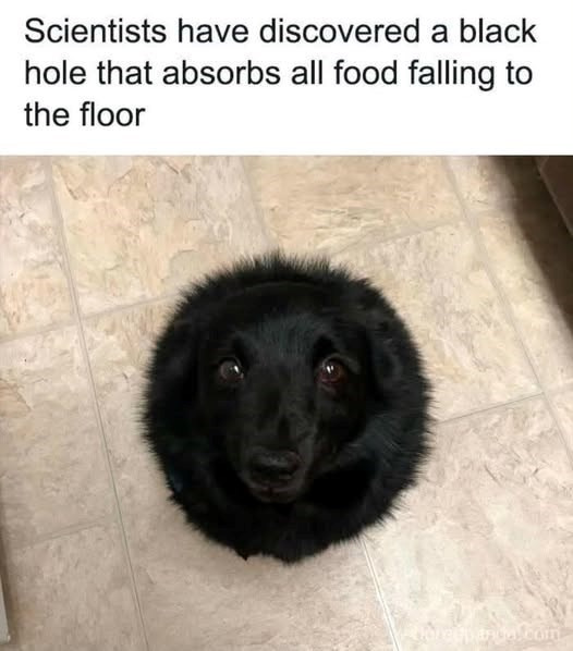 _