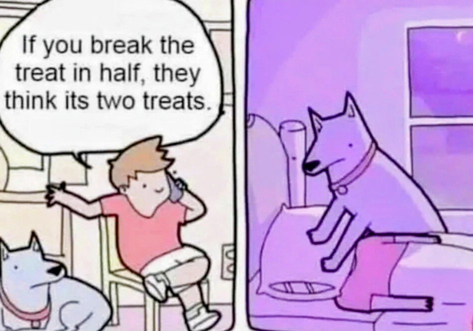 _