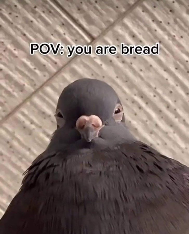 _