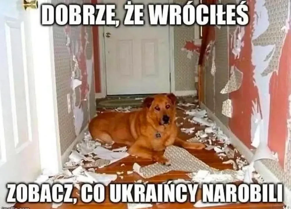 _